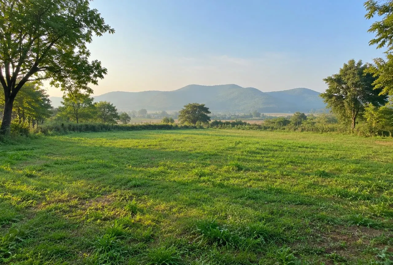 Residential Plot for Your Future Home — photo 1